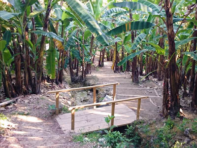 Trekking | Grutas Tolantongo